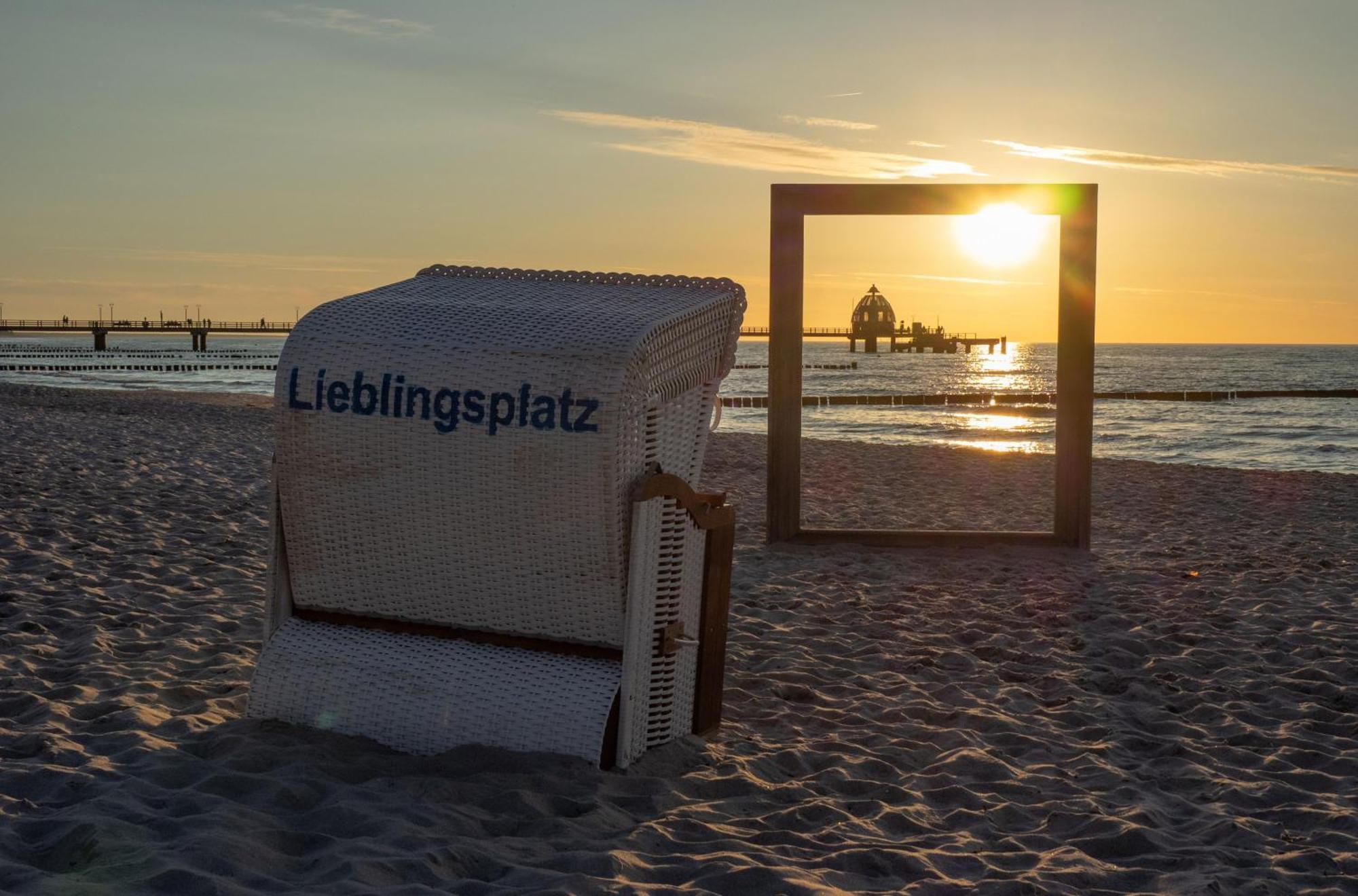 Seehund An Der Seebruecke Zingst Dış mekan fotoğraf