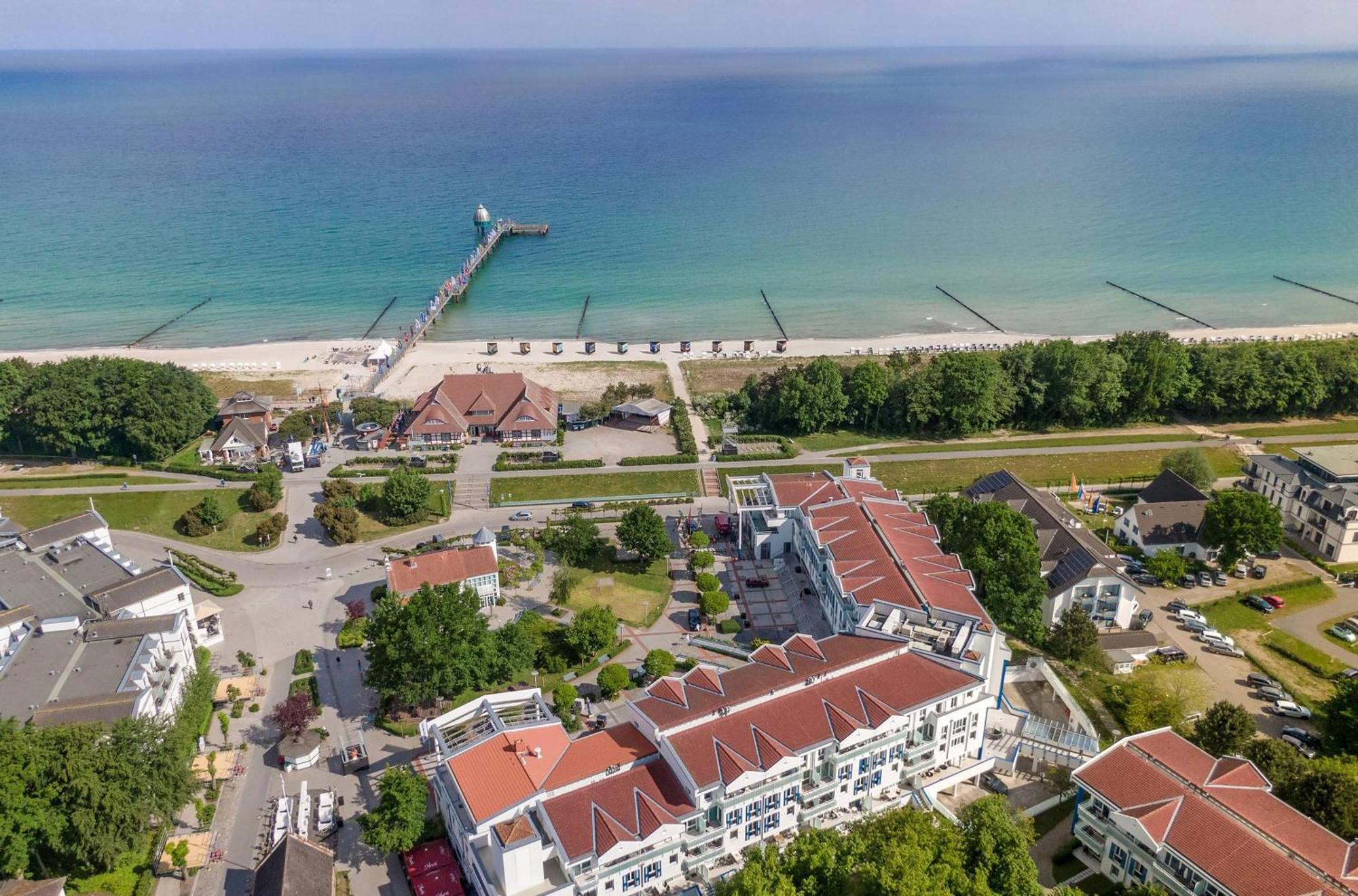 Seehund An Der Seebruecke Zingst Dış mekan fotoğraf
